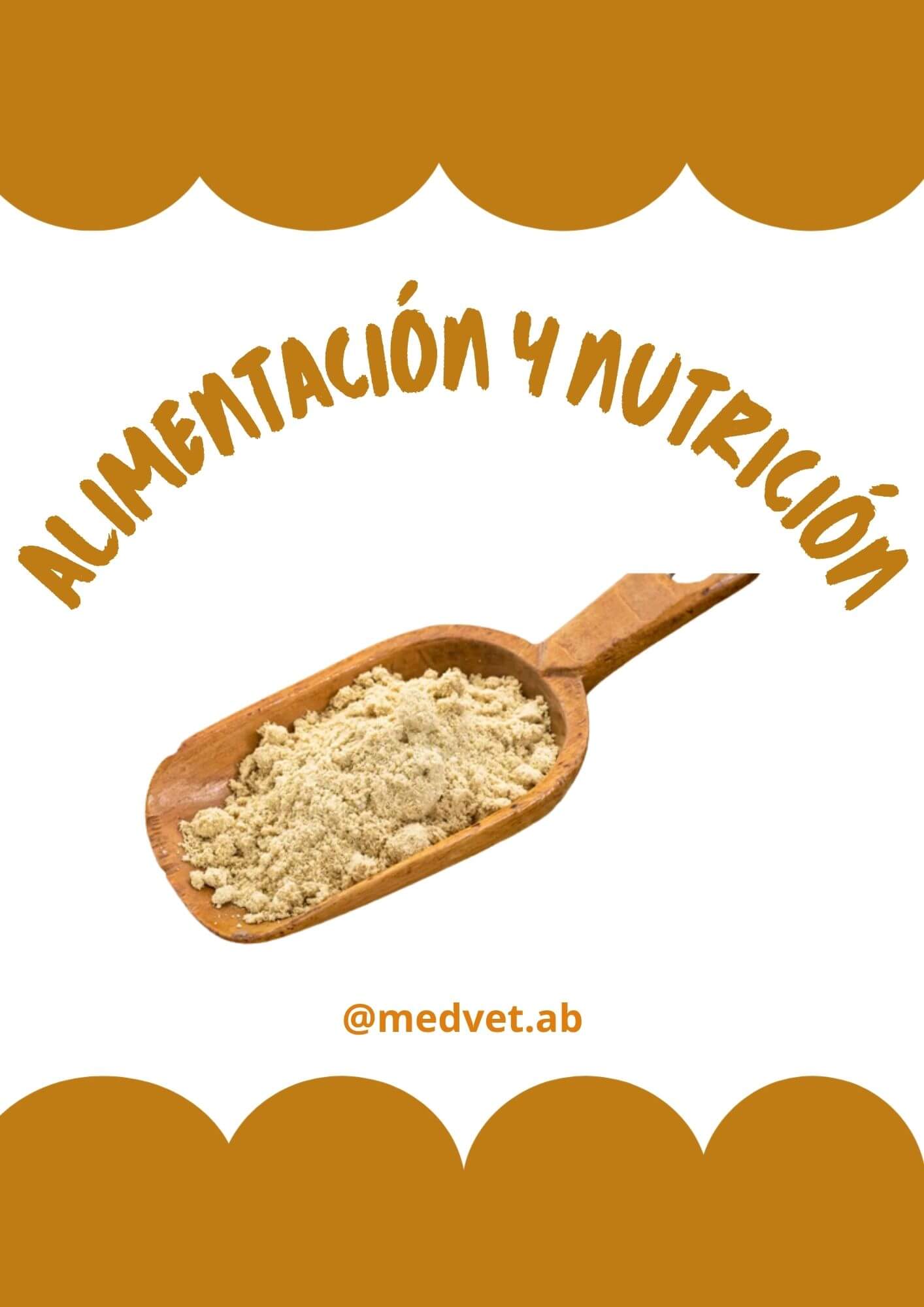 ALIMENTOS E ALIMENTAÇÃO - Esp.jpg