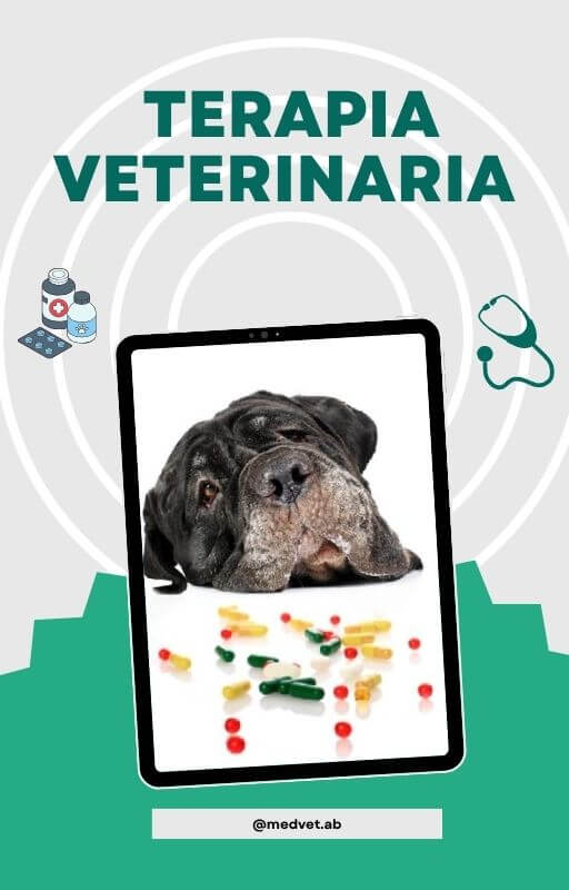 _Terapêutica Veterinária - esp.jpg