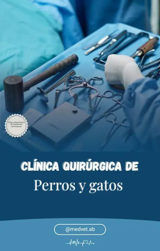 _Clínica cirúrgica de cães e gatos - esp.jpg
