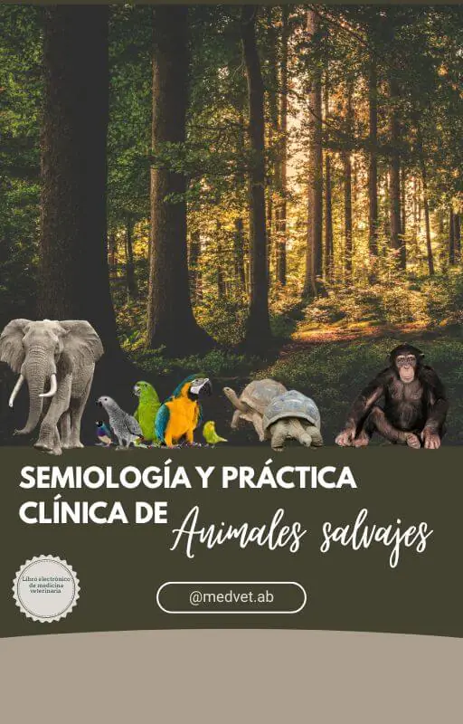 _Semiologia e clínica de animais silvestres - esp.jpg