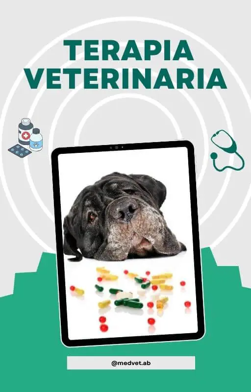 _Terapêutica Veterinária - esp.jpg